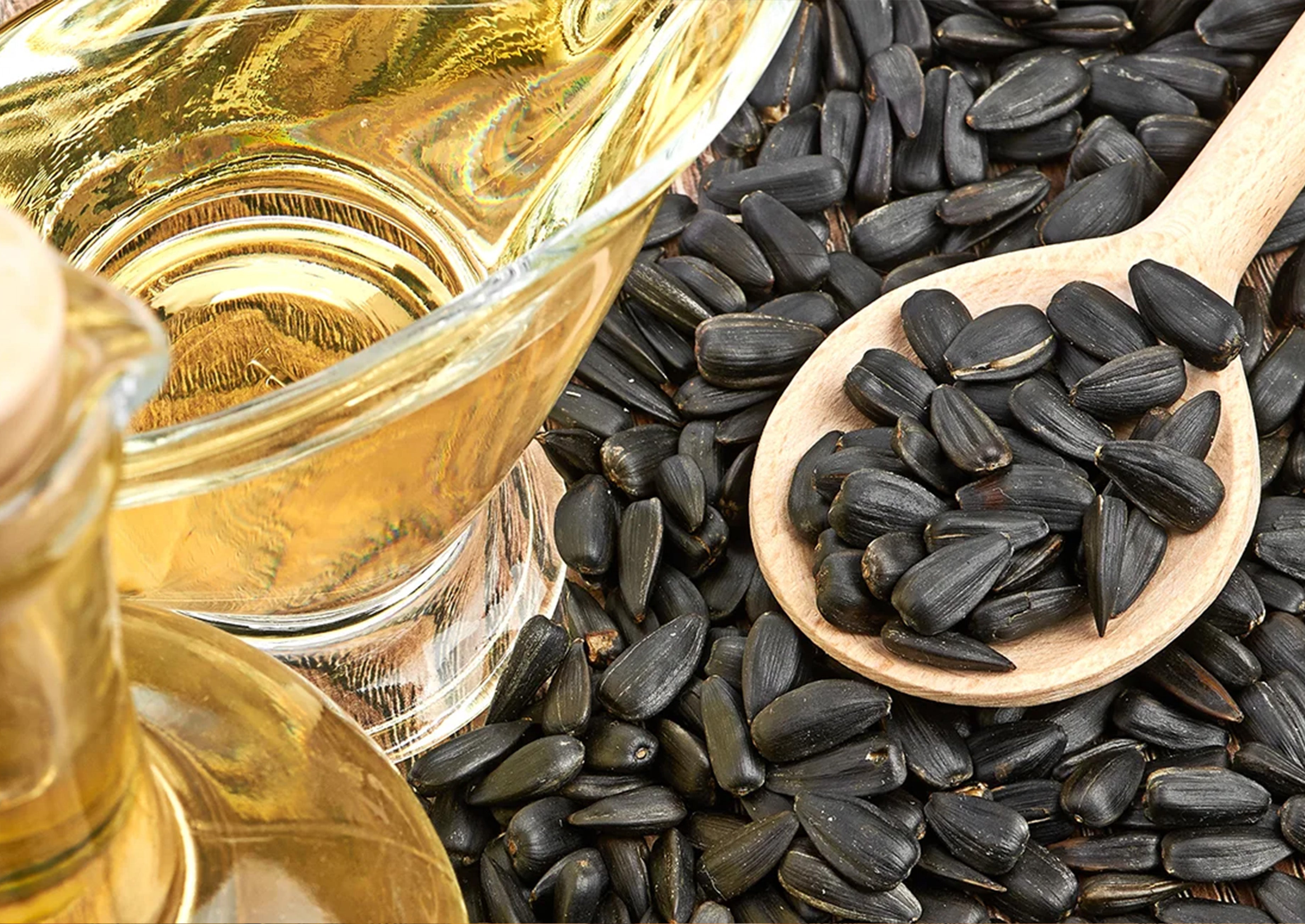 Never the Same Without YOU— 5 Ingredients that can CHANGE your Hair GAME!