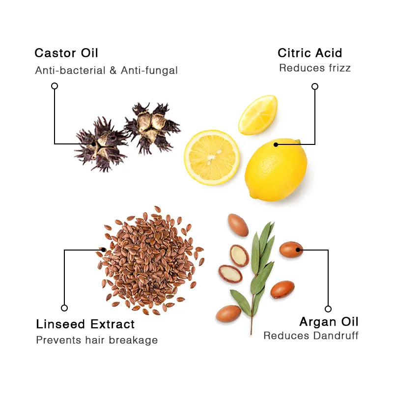 The ingredients present in the kit 