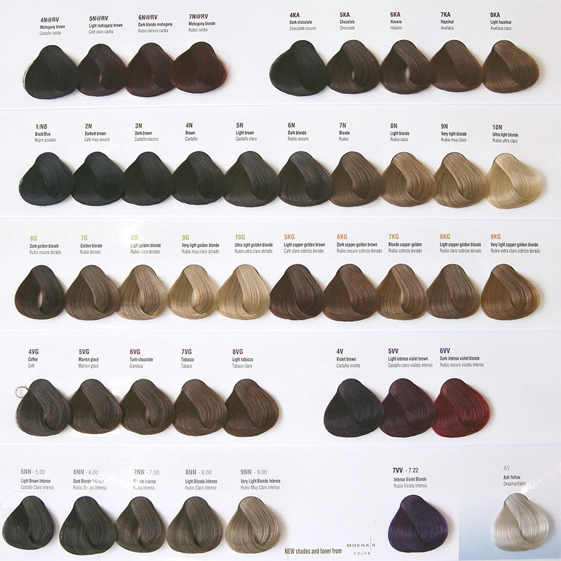 Hair Color Swatch Book